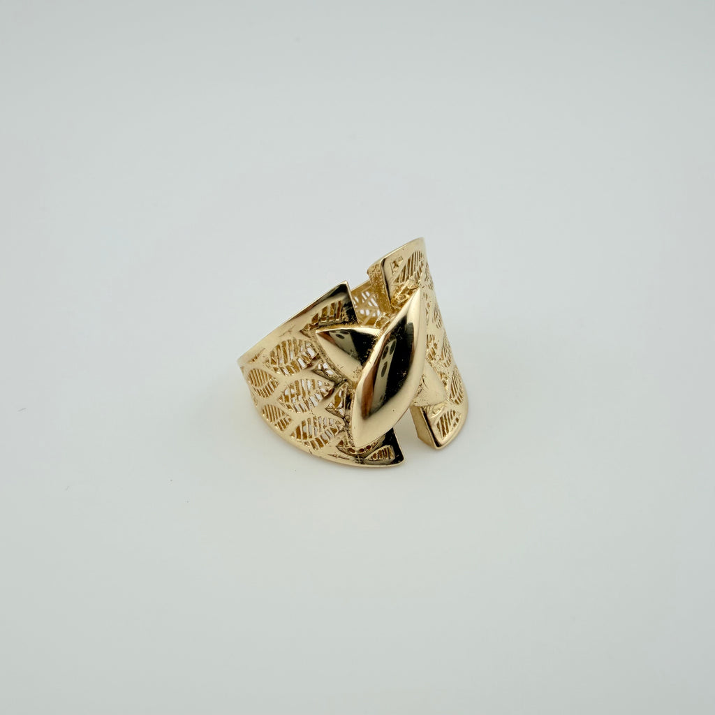 Anillo de flujo Vanta